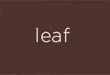 Duvets - Leaf